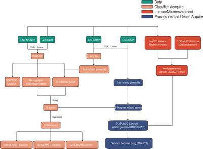 Predicting Non-Alcoholic Fatty Liver Disease Progression and Immune Deregulations by Specific Gene Expression Patterns